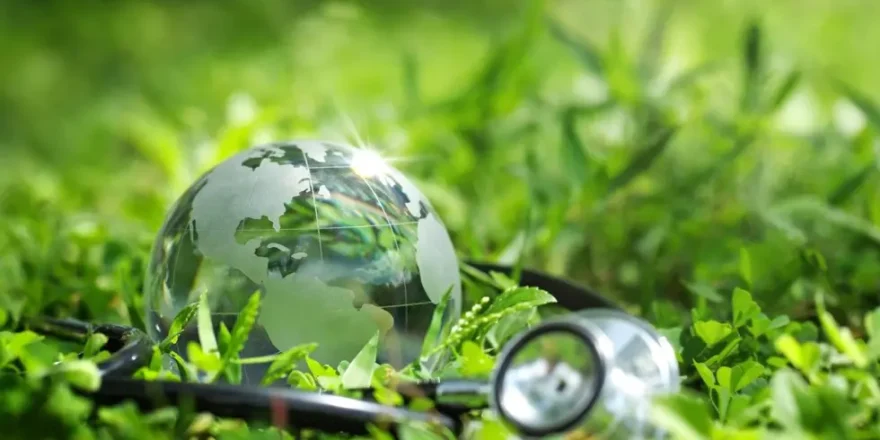 Santé-environnement © Pcess609 - stock.adobe.com