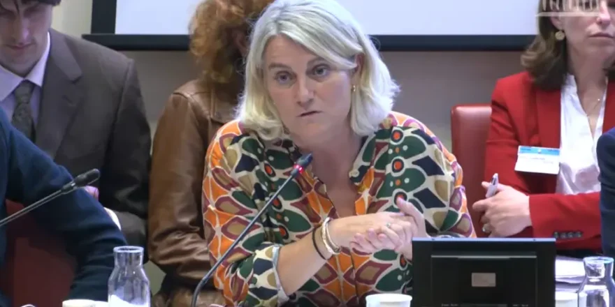 Stéphanie Rist à l'Assemblée nationale (capture d'écran)